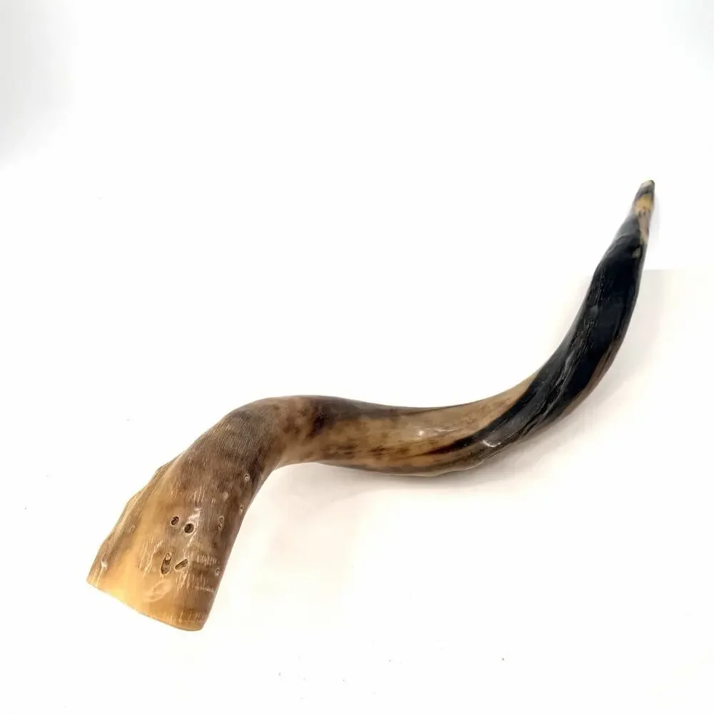 Unbranded kosher kudu